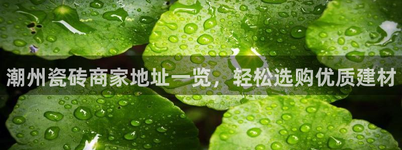 杏鑫平台官方网站