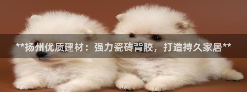 杏鑫平台怎么样黑钱吗知乎