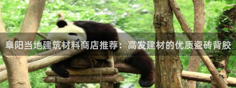 杏鑫平台怎么样知乎