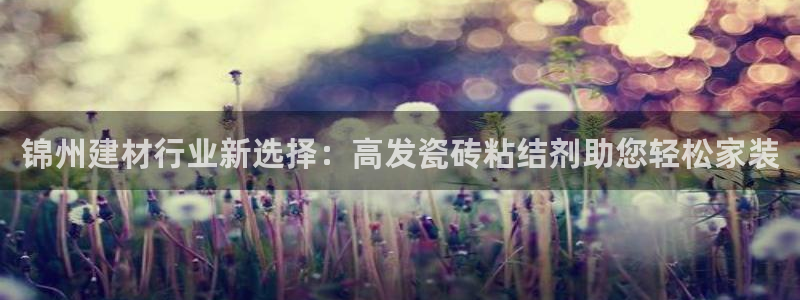 杏鑫平台直属