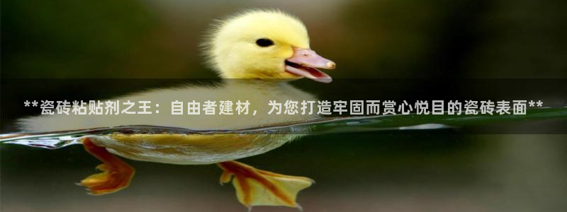 杏鑫平台注册入口在哪