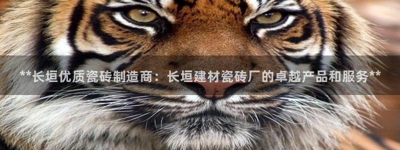 杏鑫平台登录地址是什么