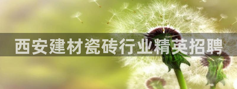 杏鑫平台正规吗