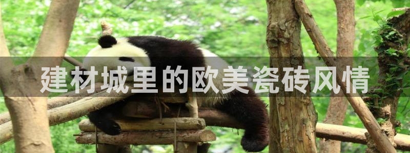 杏鑫平台代理注册