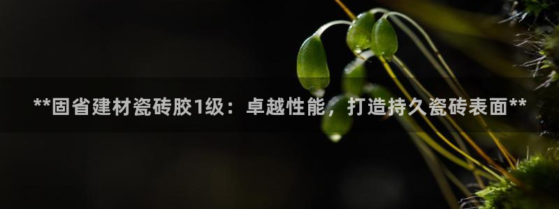 杏鑫平台代理怎么样啊