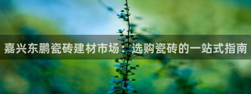 杏鑫娱乐官网首页