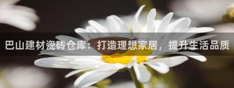 杏鑫平台广7O777