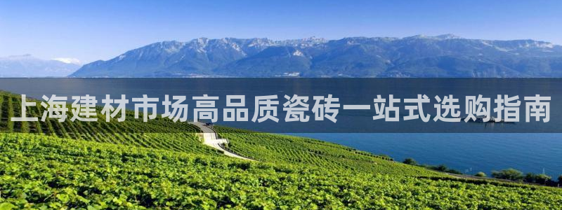 杏鑫娱乐是合法的吗是真的吗