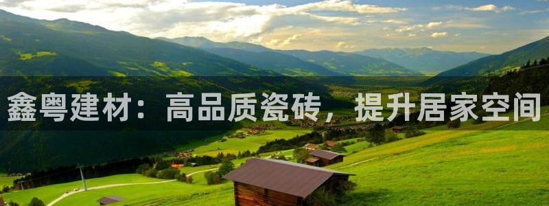 杏鑫平台怎么样知乎