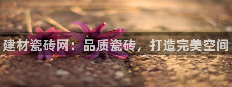 杏鑫平台登录注册