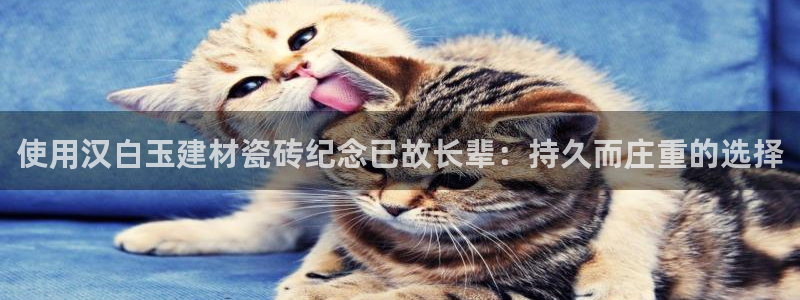 杏鑫平台登录注册
