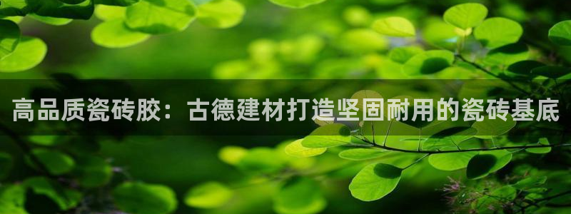 杏鑫平台待遇