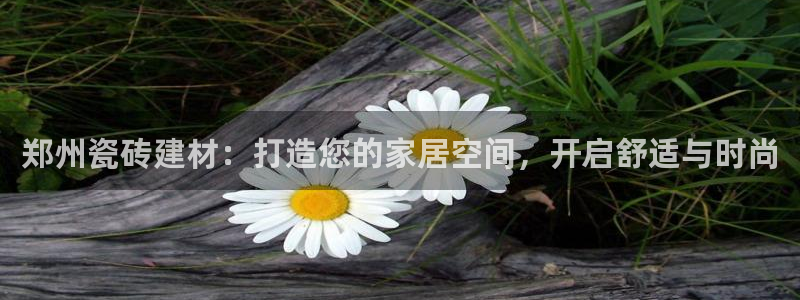 杏鑫平台登录