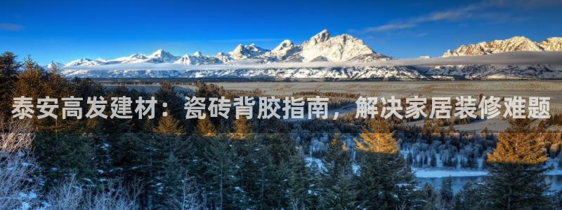杏鑫平台代理怎么样