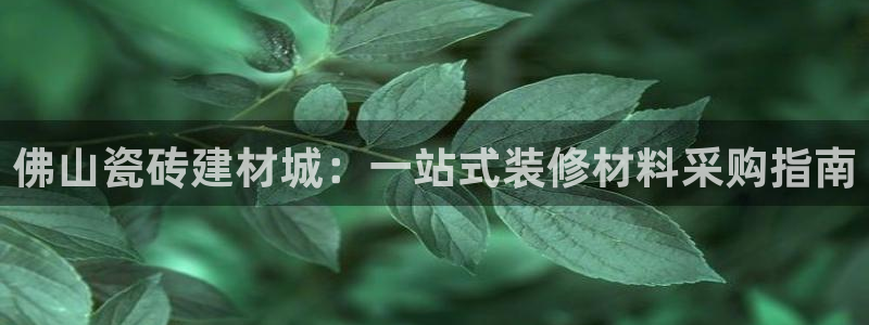 杏鑫官网最新信息新闻