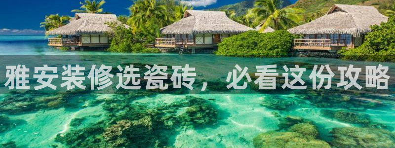 杏鑫平台注册登录