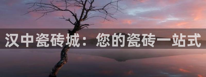 杏鑫平台代理怎么样啊