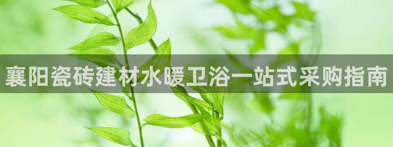 杏鑫主管