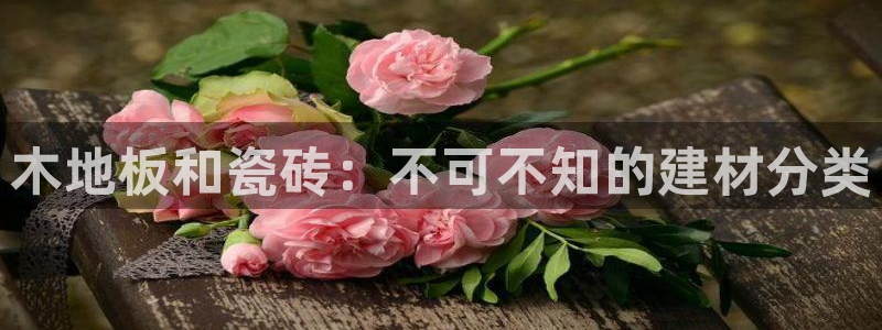 杏鑫平台代理注册多少钱一年