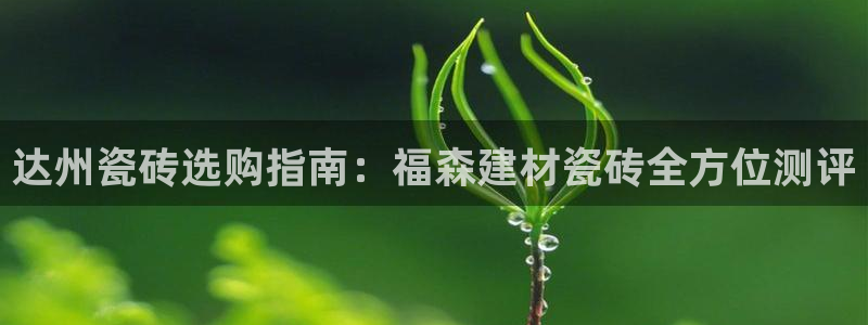 杏鑫娱乐开发团队