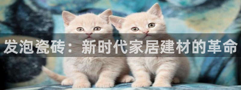 杏鑫平台代理