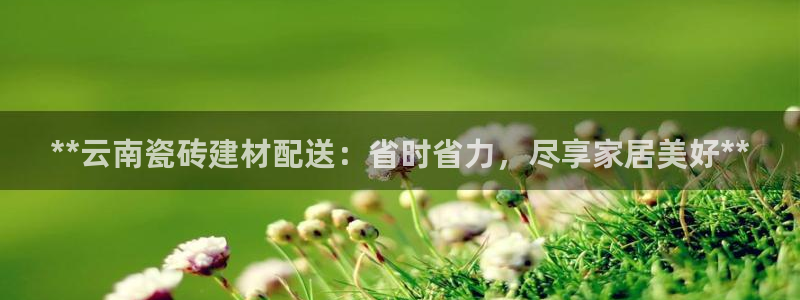 杏鑫娱乐是真的吗