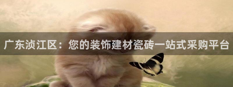 杏鑫娱乐开发团队