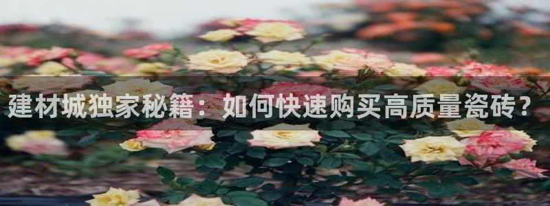 杏鑫平台代理怎么样可靠吗