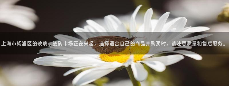 杏鑫平台待遇
