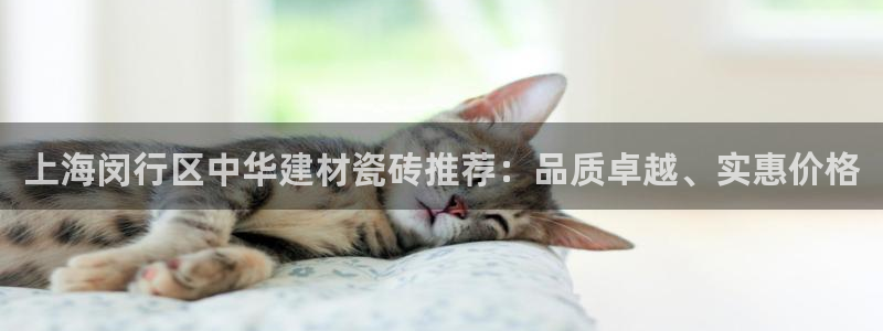 杏鑫招商总代