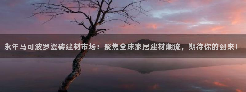 杏鑫官网
