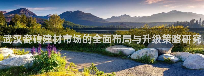 杏鑫平台测速