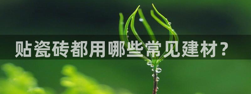 杏鑫平台官方网站