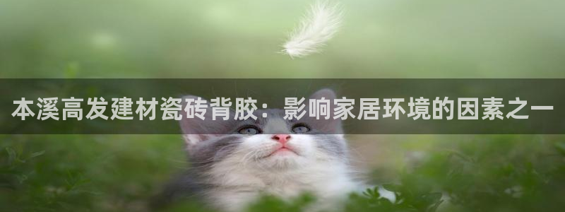 杏鑫平台招商怎么样