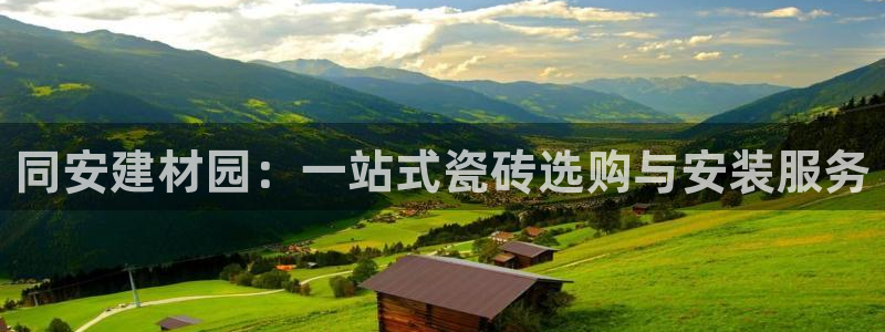 杏鑫官网注册账号怎么注册的