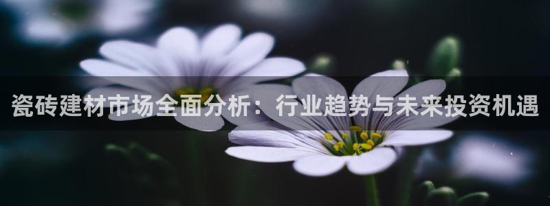 杏鑫官方平台怎么样