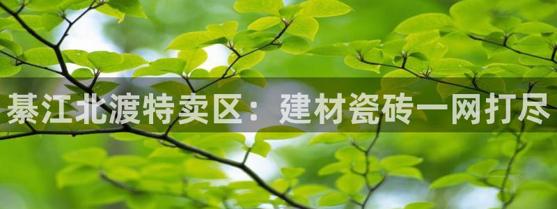 杏鑫平台是黑平台吗知乎