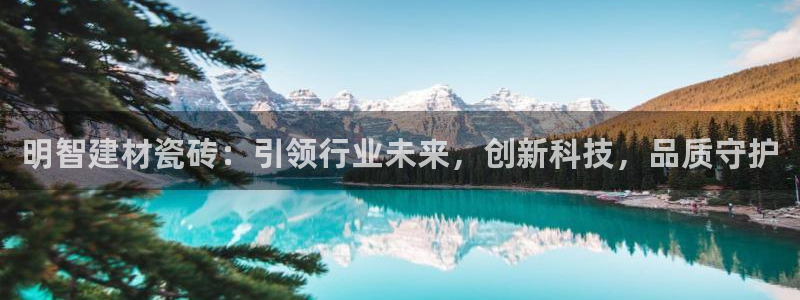 杏鑫平台下载安装