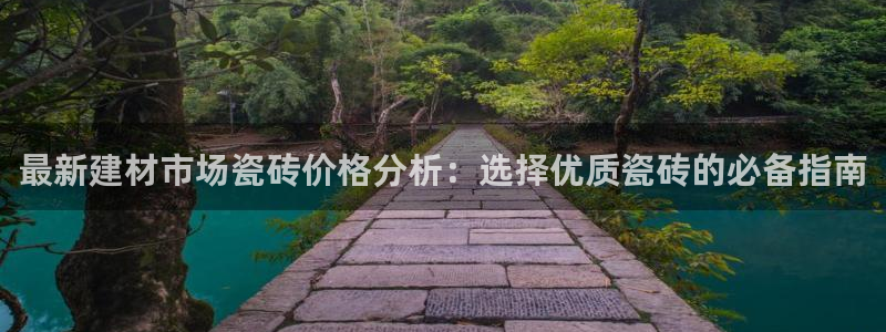 杏鑫招商总代