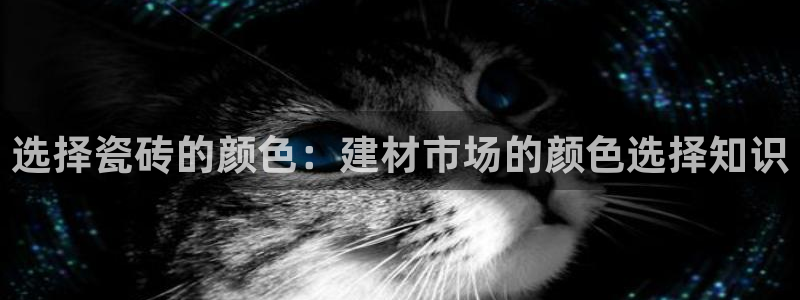 杏鑫平台招商怎么样啊