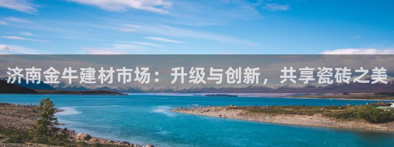 杏鑫招商总代