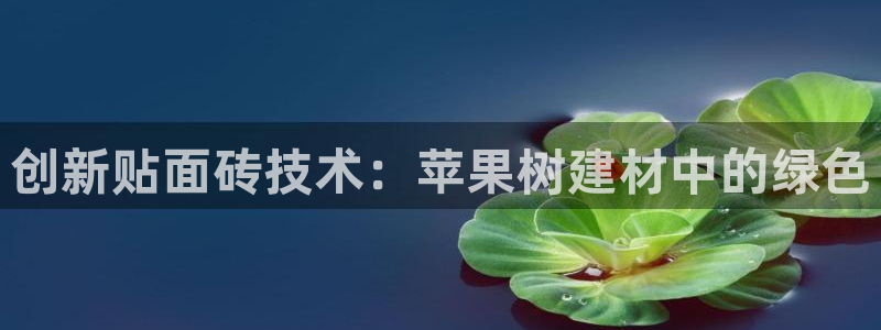 杏鑫官方平台怎么样啊安全吗
