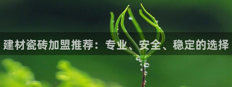 杏鑫平台线路测速